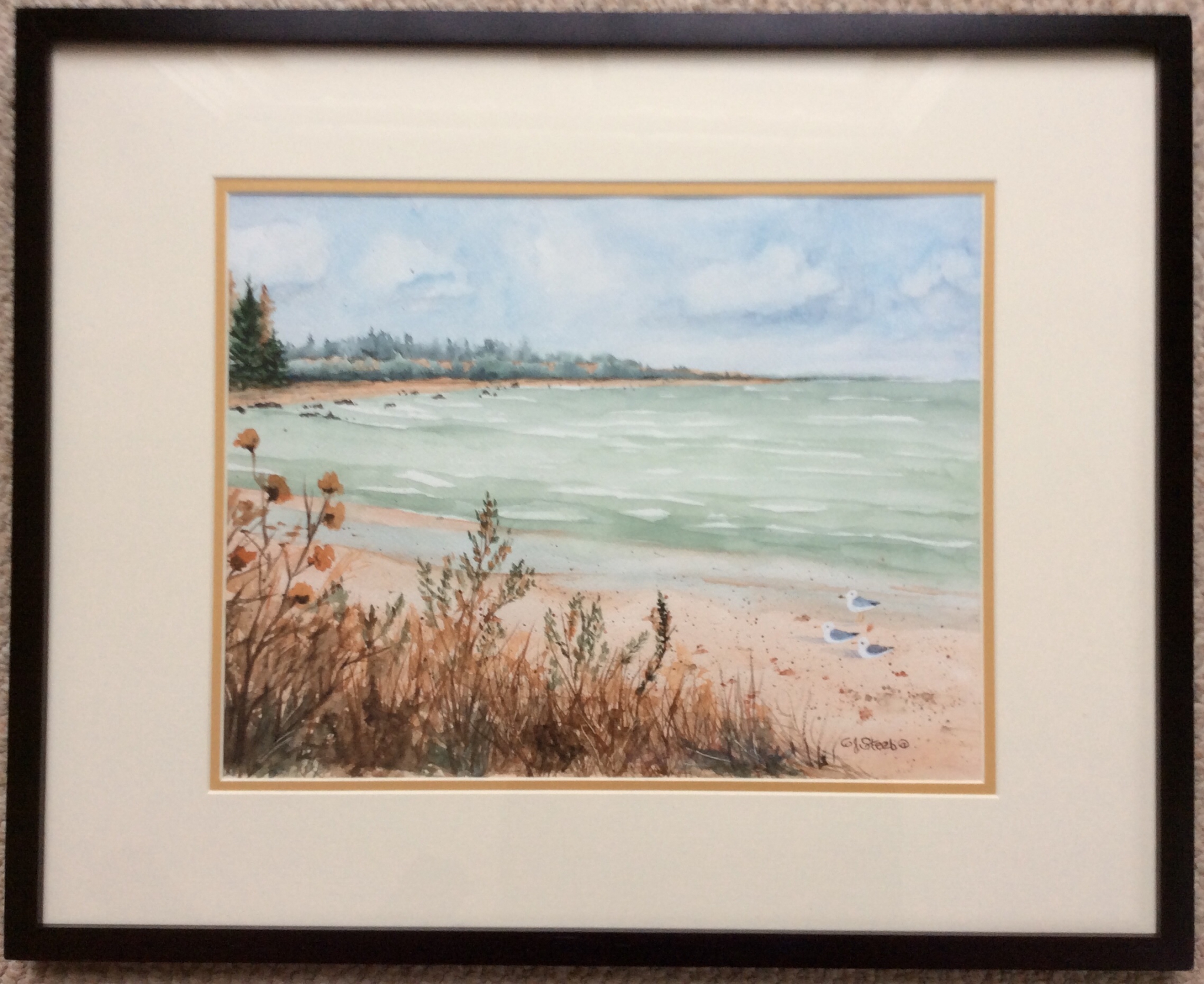 Click here to view Sturgeon Bay  by Cydney J. Steeb