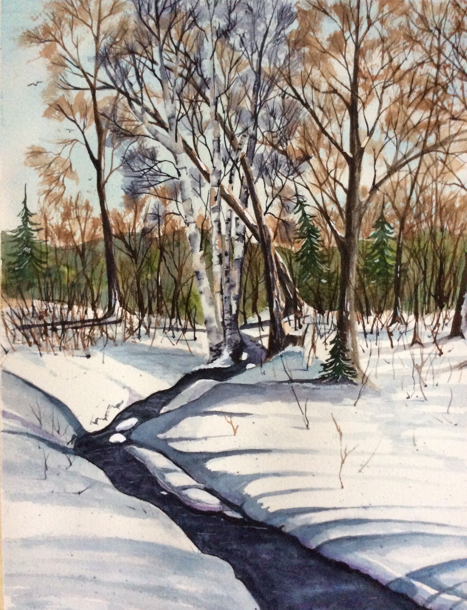 Click here to view Spring brook Trail by Cydney J. Steeb