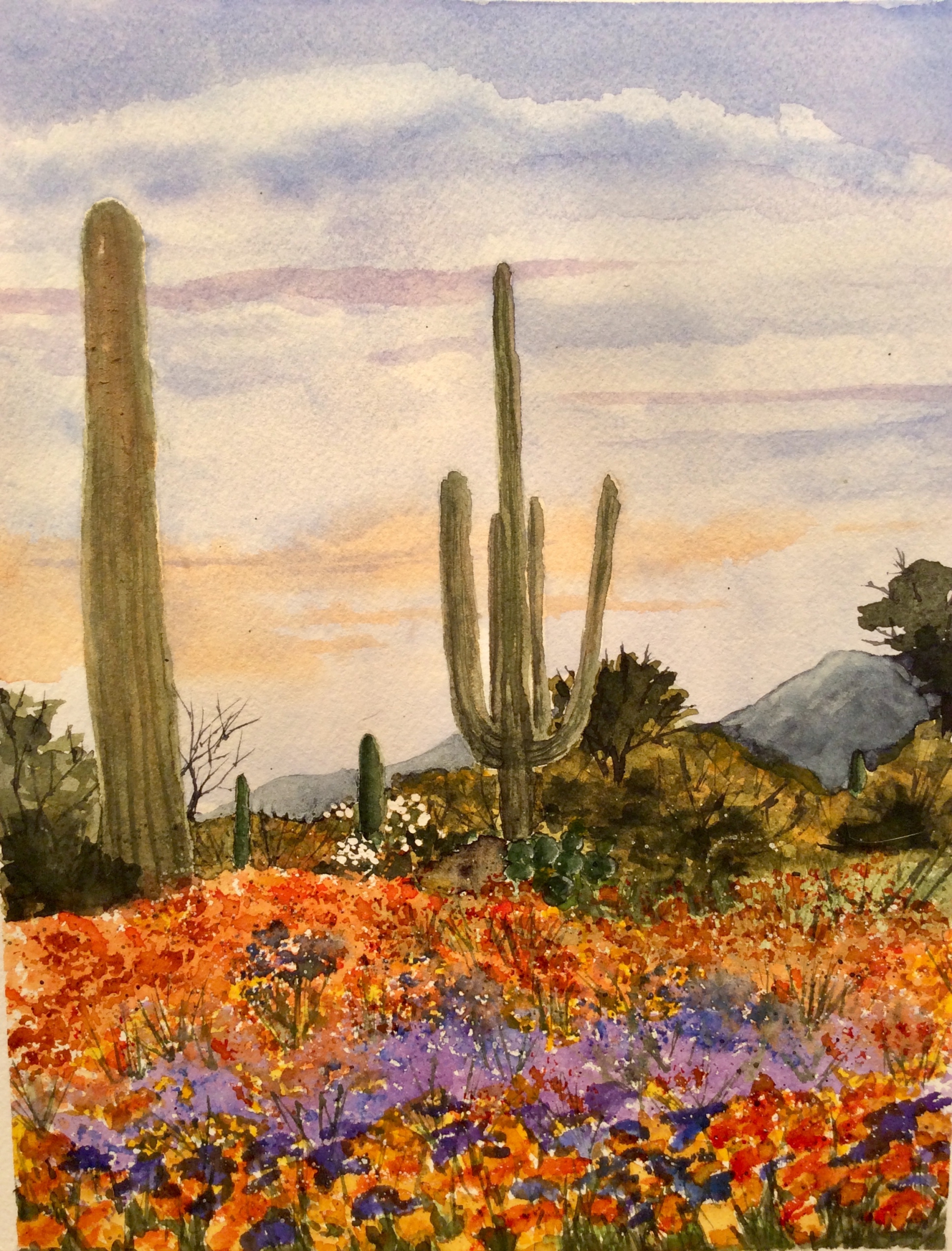 Click here to view Desert in Bloom  by Cydney J. Steeb