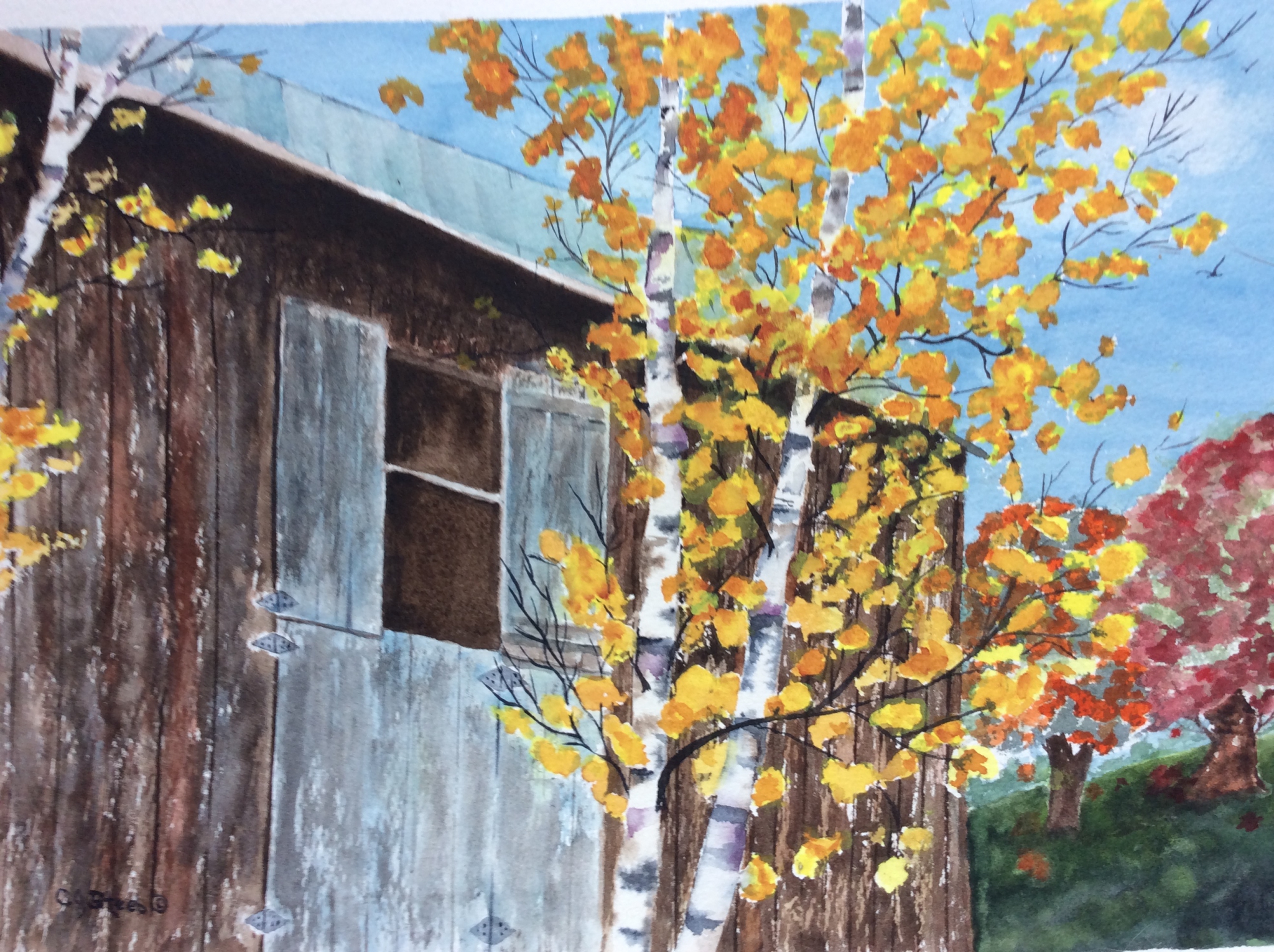 Click here to view Fall on the Farm 2 by Cydney J. Steeb