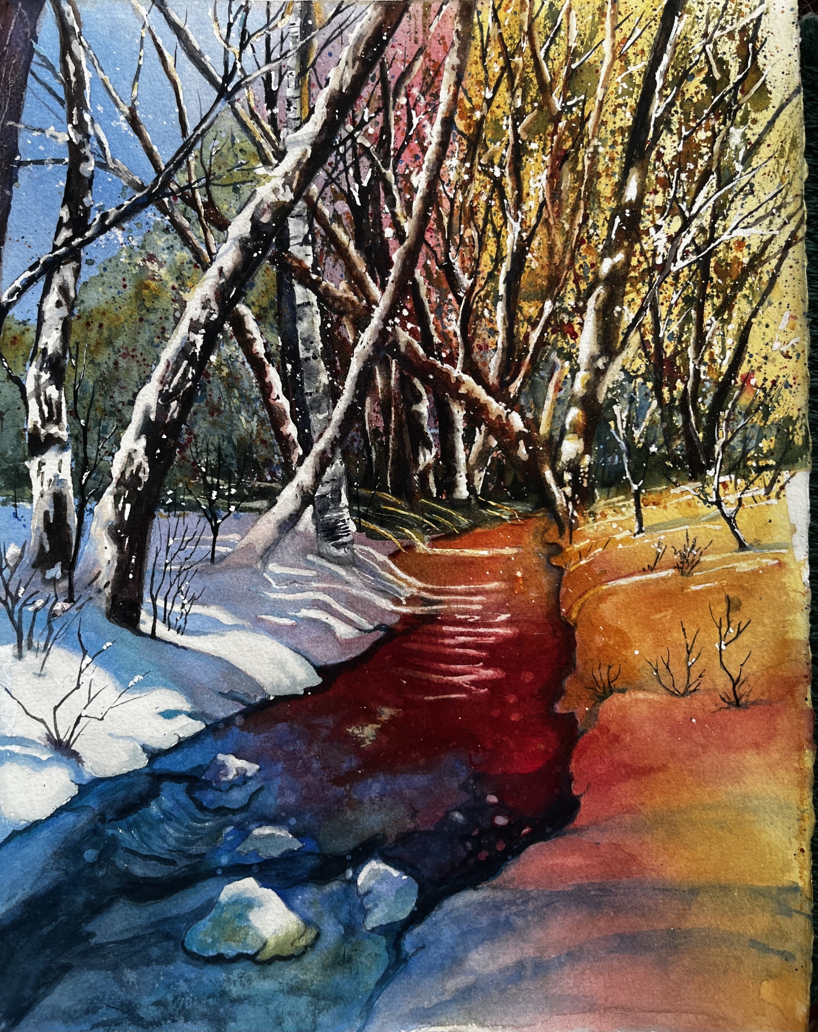 Click here to view Colors of Winter by Cydney J. Steeb