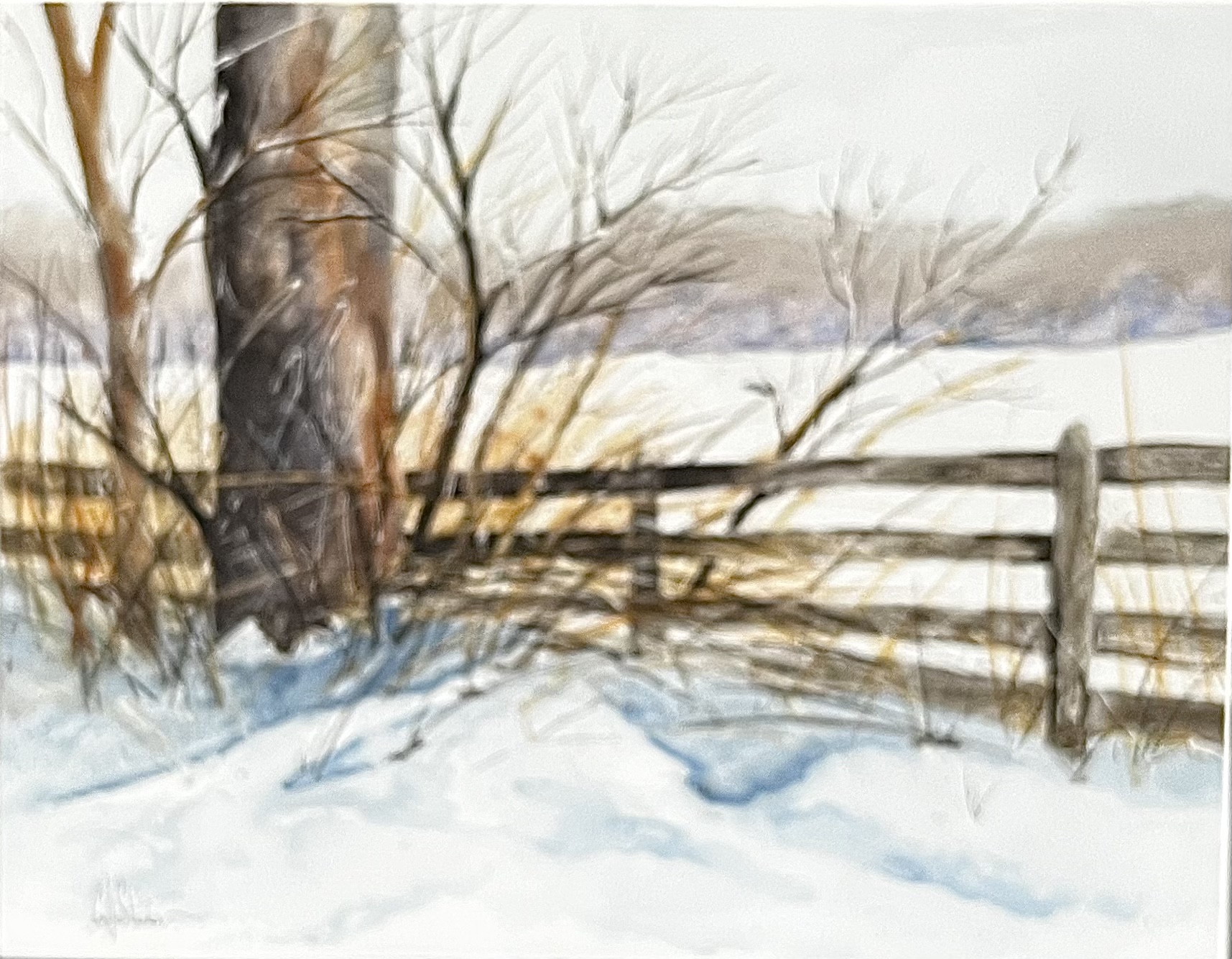 Click here to view Roadside in Winter  by Cydney J. Steeb